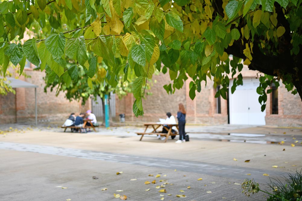 Pati dels edificis FUB2 i FUB3